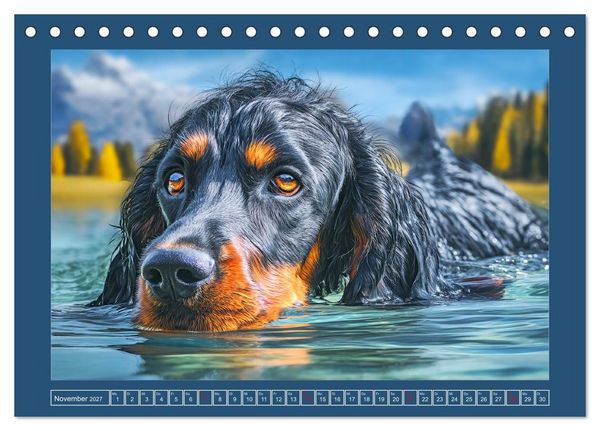 Produktbild: Gordon Setter. Edle Seelen in der Natur (Tischkalender 2027 DIN A5 quer), CALVENDO Monatskalender