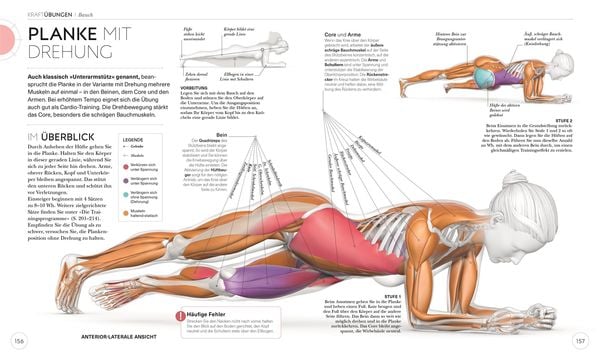 Krafttraining – Die Anatomie verstehen