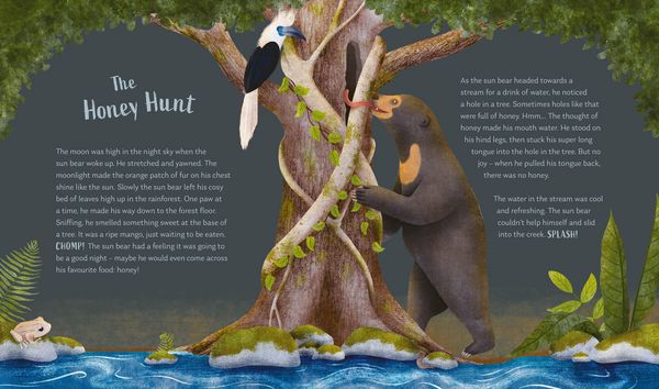 Produktbild: Secrets of the Forest