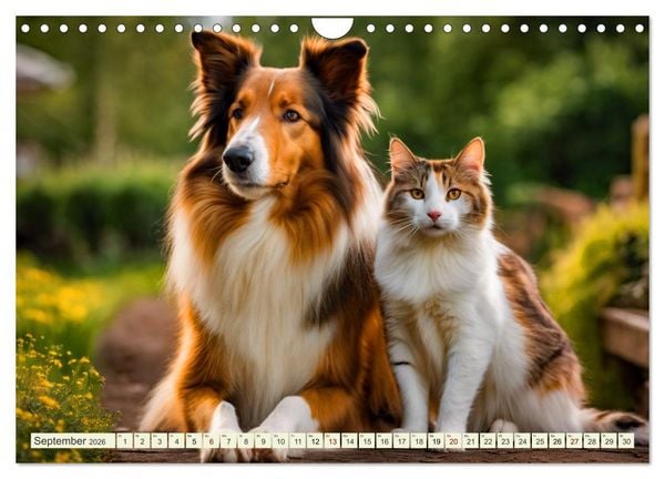 Produktbild: Traumhund Collie (Wandkalender 2026 DIN A4 quer), CALVENDO Monatskalender
