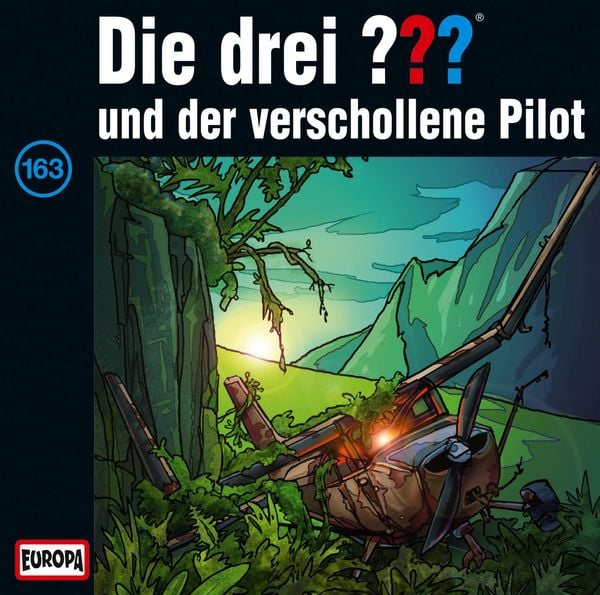 Die drei ??? (163) und der verschollene Pilot