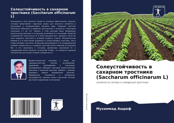 Produktbild: Soleustojchiwost' w saharnom trostnike (Saccharum officinarum L)