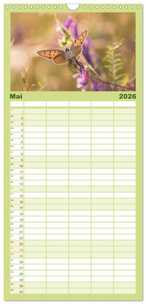 Produktbild: Familienplaner 2026 - Schmetterlinge. Schimmernde Zauberwesen mit 5 Spalten (Wandkalender, 21 x 45 cm) CALVENDO