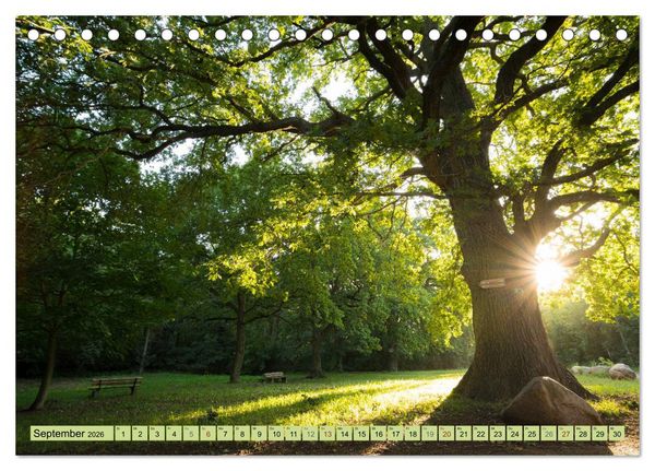 Produktbild: Gr&uuml;nes Halle/Saale - Meine wilde H&auml;ndelstadt (Tischkalender 2026 DIN A5 quer), CALVENDO Monatskalender