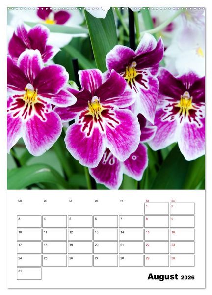 Produktbild: Orchideen - Tropische Sch&ouml;nheiten (hochwertiger Premium Wandkalender 2026 DIN A2 hoch), Kunstdruck in Hochglanz