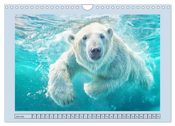 Produktbild: Im Reich der Eisb&auml;ren. Imposante K&ouml;nige des Nordlichts (Wandkalender 2026 DIN A4 quer), CALVENDO Monatskalender