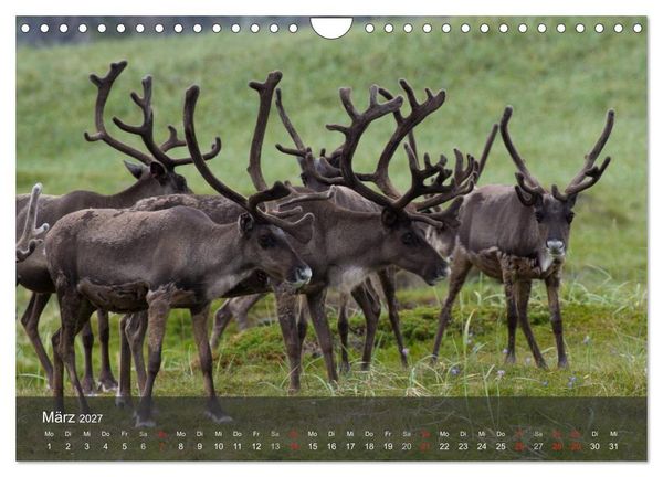 Produktbild: Lappland 2027 (Wandkalender 2027 DIN A4 quer), CALVENDO Monatskalender