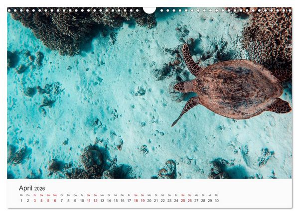 Produktbild: Malediven - Die sch&ouml;nsten Str&auml;nde der Welt. (Wandkalender 2026 DIN A3 quer), CALVENDO Monatskalender