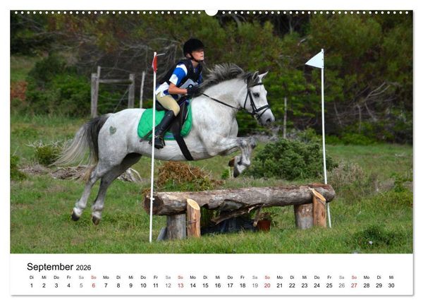 Produktbild: Eventing - Der ultimative Reitsport (Wandkalender 2026 DIN A2 quer), CALVENDO Monatskalender