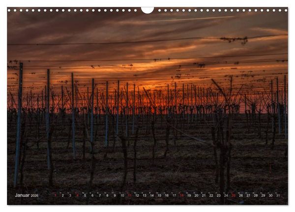 Produktbild: Weinland Franken (Wandkalender 2026 DIN A3 quer), CALVENDO Monatskalender