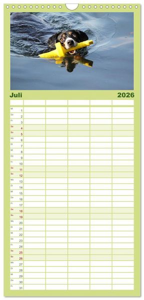 Produktbild: Familienplaner 2026 - Entlebucher Sennenhund - treue Freunde mit 5 Spalten (Wandkalender, 21 x 45 cm) CALVENDO