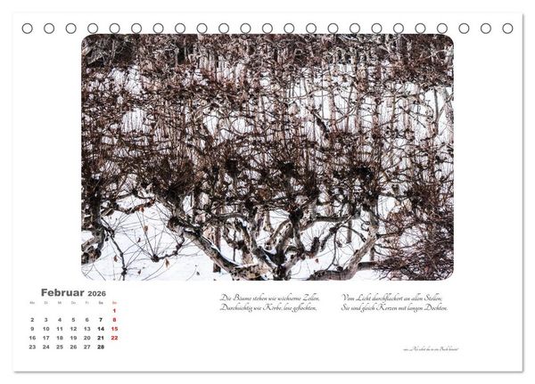 Produktbild: Max Dauthendey - Mit dem Wald durchs Jahr (Tischkalender 2026 DIN A5 quer), CALVENDO Monatskalender