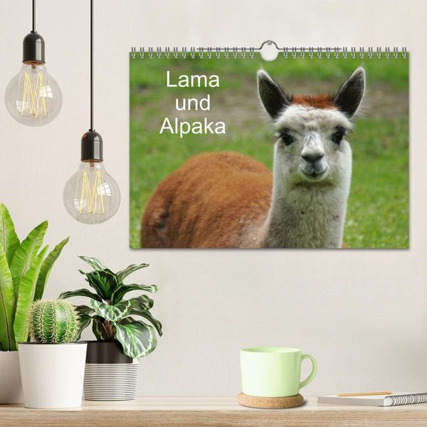 Produktbild: Lama und Alpaka (Wandkalender 2026 DIN A4 quer), CALVENDO Monatskalender