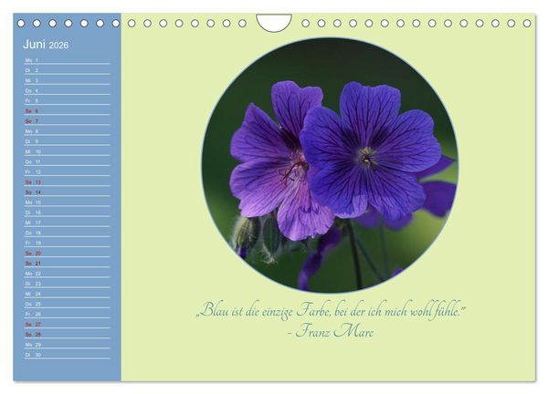 Produktbild: Flora in royalem Blau (Wandkalender 2026 DIN A4 quer), CALVENDO Monatskalender