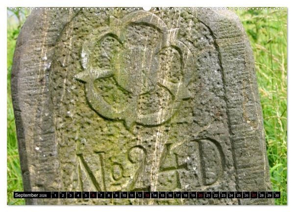 Produktbild: Lippische Rosen (hochwertiger Premium Wandkalender 2026 DIN A2 quer), Kunstdruck in Hochglanz
