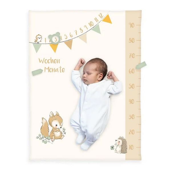 Produktbild: Herding 1540223014 - babybest&reg; Meilensteindecke Monatsdecke Waldfreunde, Soft-Peach, 75x100cm
