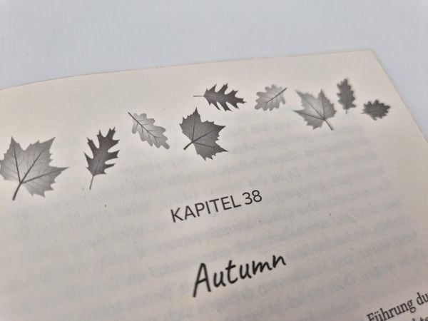 Produktbild: Fall I Want