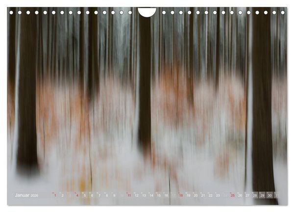 Produktbild: Atelier Wald - gemalt mit Licht (Wandkalender 2026 DIN A4 quer), CALVENDO Monatskalender