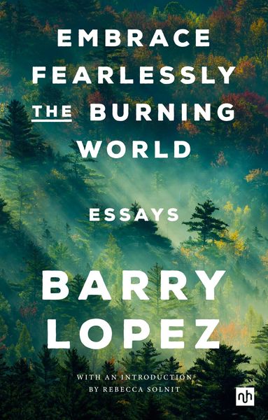 Produktbild: Embrace Fearlessly The Burning World