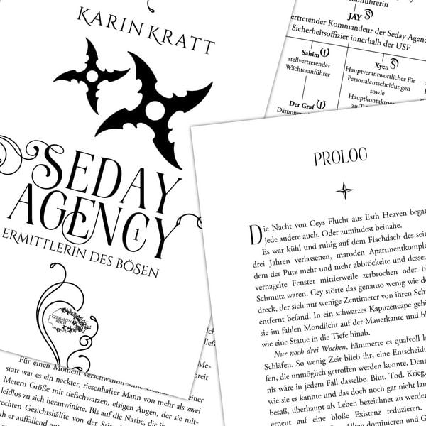 Produktbild: Seday Agency 1: Ermittlerin des B&ouml;sen (Seday Academy 11)