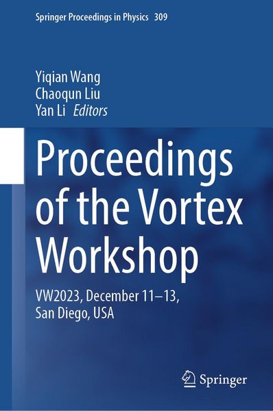 Produktbild: Proceedings of the Vortex Workshop