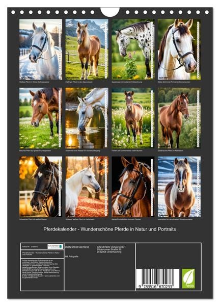 Produktbild: Pferdekalender - Wundersch&ouml;ne Pferde in Natur und Portraits (Wandkalender 2026 DIN A4 hoch), CALVENDO Monatskalender