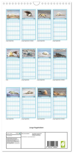 Produktbild: Familienplaner 2026 - Junge Kegelrobben mit 5 Spalten (Wandkalender, 21 x 45 cm) CALVENDO