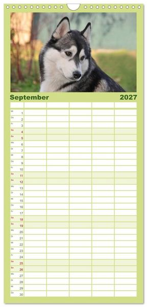 Produktbild: Familienplaner 2027 - Huskys - Traumhunde mit 5 Spalten (Wandkalender, 21 x 45 cm) CALVENDO