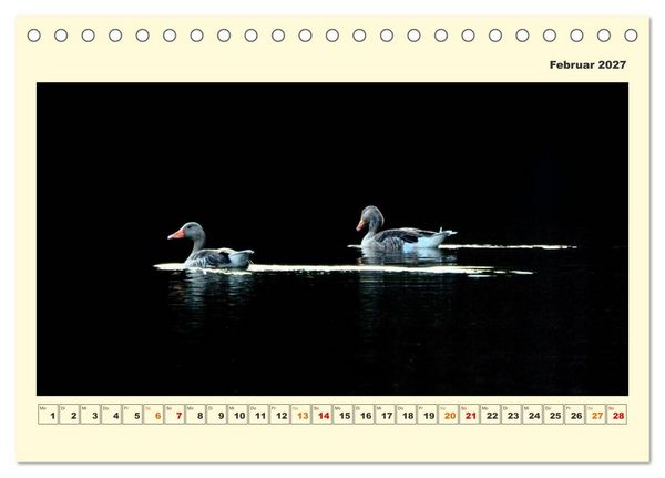 Produktbild: Tierwelt der W&uuml;mmeniederung (Tischkalender 2027 DIN A5 quer), CALVENDO Monatskalender
