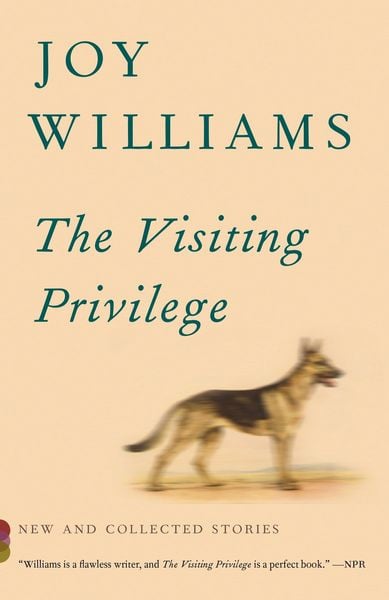 Produktbild: The Visiting Privilege