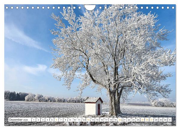 Produktbild: B&auml;ume im Altm&uuml;hltal (Wandkalender 2026 DIN A4 quer), CALVENDO Monatskalender
