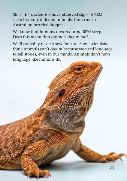 Produktbild: Why do we dream?