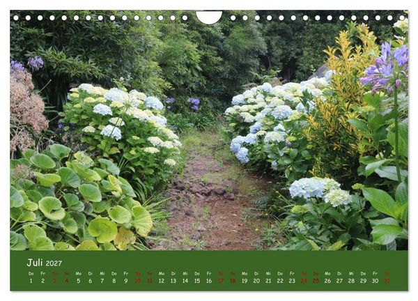 Produktbild: Levadawandern auf Madeira (Wandkalender 2027 DIN A4 quer), CALVENDO Monatskalender