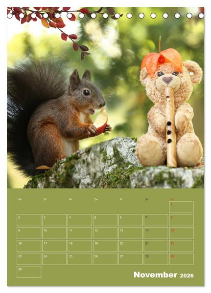 Produktbild: Eichh&ouml;rnchen - Abenteuer mit Freund Teddy (Tischkalender 2026 DIN A5 hoch), CALVENDO Monatskalender