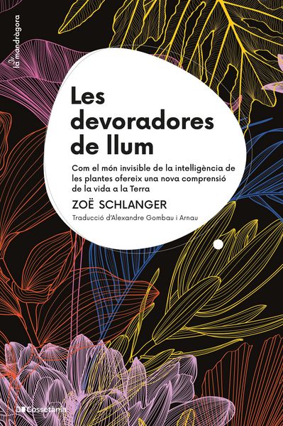 Produktbild: Les devoradores de llum