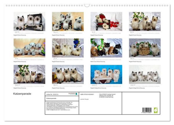 Produktbild: Katzenparade (Wandkalender 2026 DIN A2 quer), CALVENDO Monatskalender