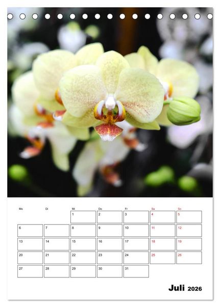 Produktbild: Orchideen - Tropische Sch&ouml;nheiten (Tischkalender 2026 DIN A5 hoch), CALVENDO Monatskalender