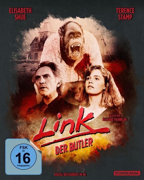 Link, der Butler / Special Edition, Blu-ray
