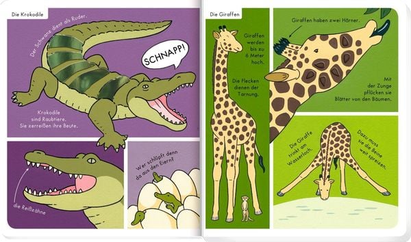 Produktbild: Mein F&uuml;hl-W&ouml;rterbuch: Wilde Tiere (F&uuml;hlen&begr.)