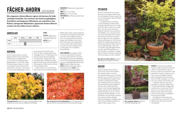 Produktbild: Gr&uuml;nes Gartenwissen. Pflanzen im Topf