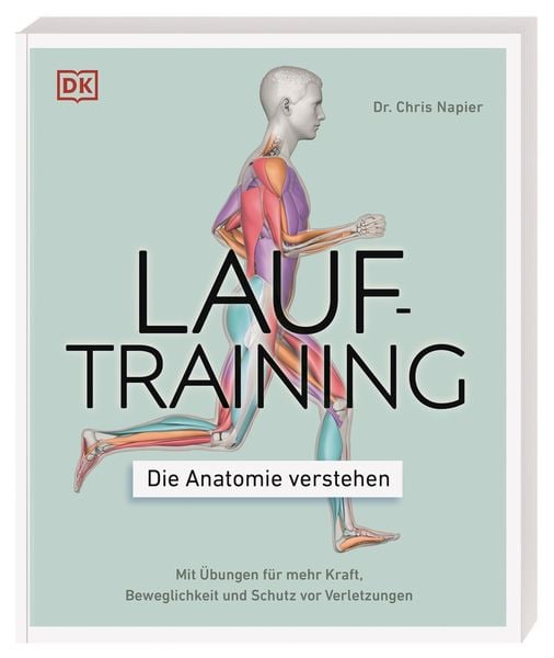 Lauftraining – Die Anatomie verstehen