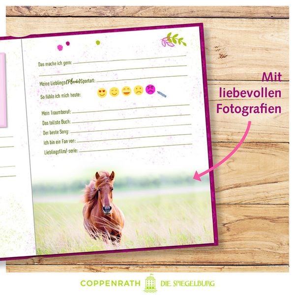 Produktbild: Freundebuch &ndash; Meine Freunde