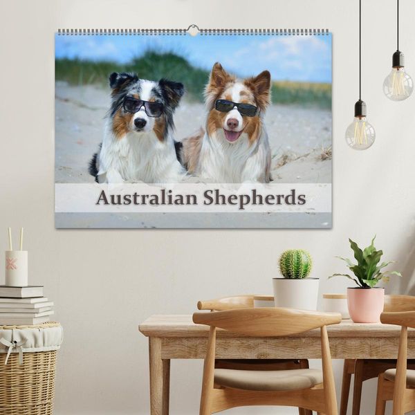 Produktbild: Wunderbare Australian Shepherds (Wandkalender 2026 DIN A2 quer), CALVENDO Monatskalender
