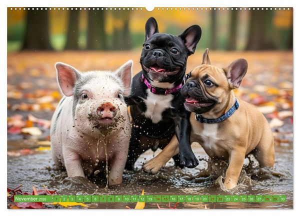 Produktbild: Muddi Buddies &ndash; Freundschaft im Matsch (hochwertiger Premium Wandkalender 2026 DIN A2 quer), Kunstdruck in Hochglanz