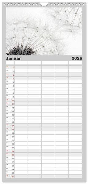 Produktbild: Familienplaner 2026 - Filigrane Pusteblumen / Geburtstagskalender mit 5 Spalten (Wandkalender, 21 x 45 cm) CALVENDO