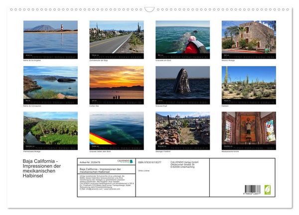 Produktbild: Baja California - Impressionen der mexikanischen Halbinsel (Wandkalender 2026 DIN A2 quer), CALVENDO Monatskalender