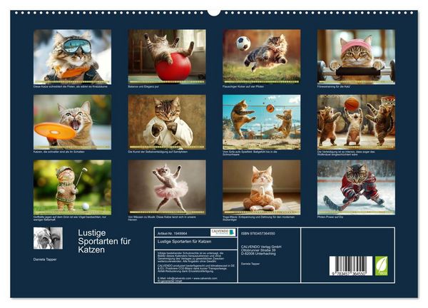 Produktbild: Lustige Sportarten f&uuml;r Katzen (hochwertiger Premium Wandkalender 2026 DIN A2 quer), Kunstdruck in Hochglanz