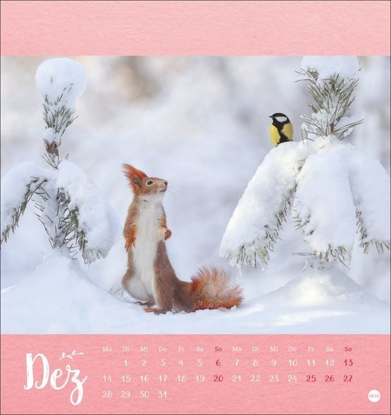 Produktbild: Vadim Trunov: Märchenhaftes Waldleben Postkartenkalender 2026