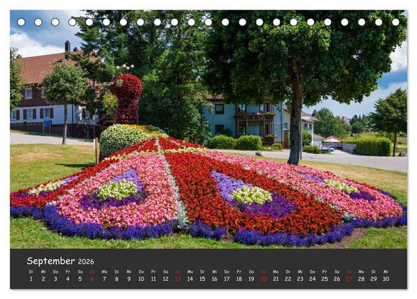 Produktbild: Schluchsee Naturpark S&uuml;dschwarzwald (Tischkalender 2026 DIN A5 quer), CALVENDO Monatskalender