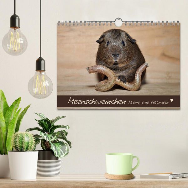 Produktbild: Meerschweinchen - Kleine s&uuml;&szlig;e Fellnasen (Wandkalender 2026 DIN A4 quer), CALVENDO Monatskalender